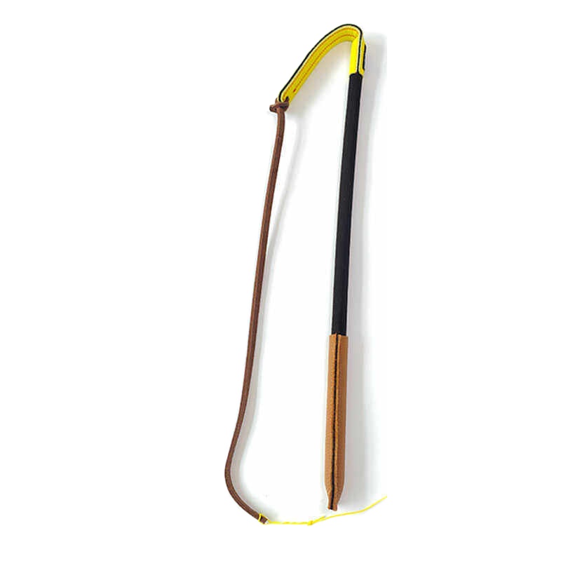 Leatherwork Training - Training Dog Whip Leather Training Dog