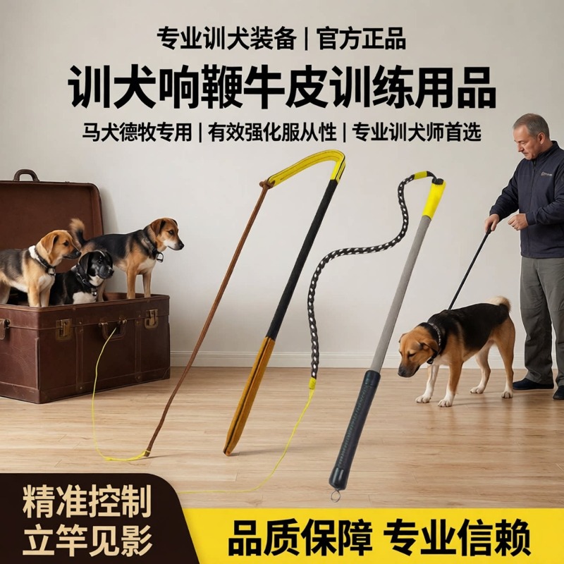 Training Dog Whip Leather Trai - Leatherwork Training recension och pris