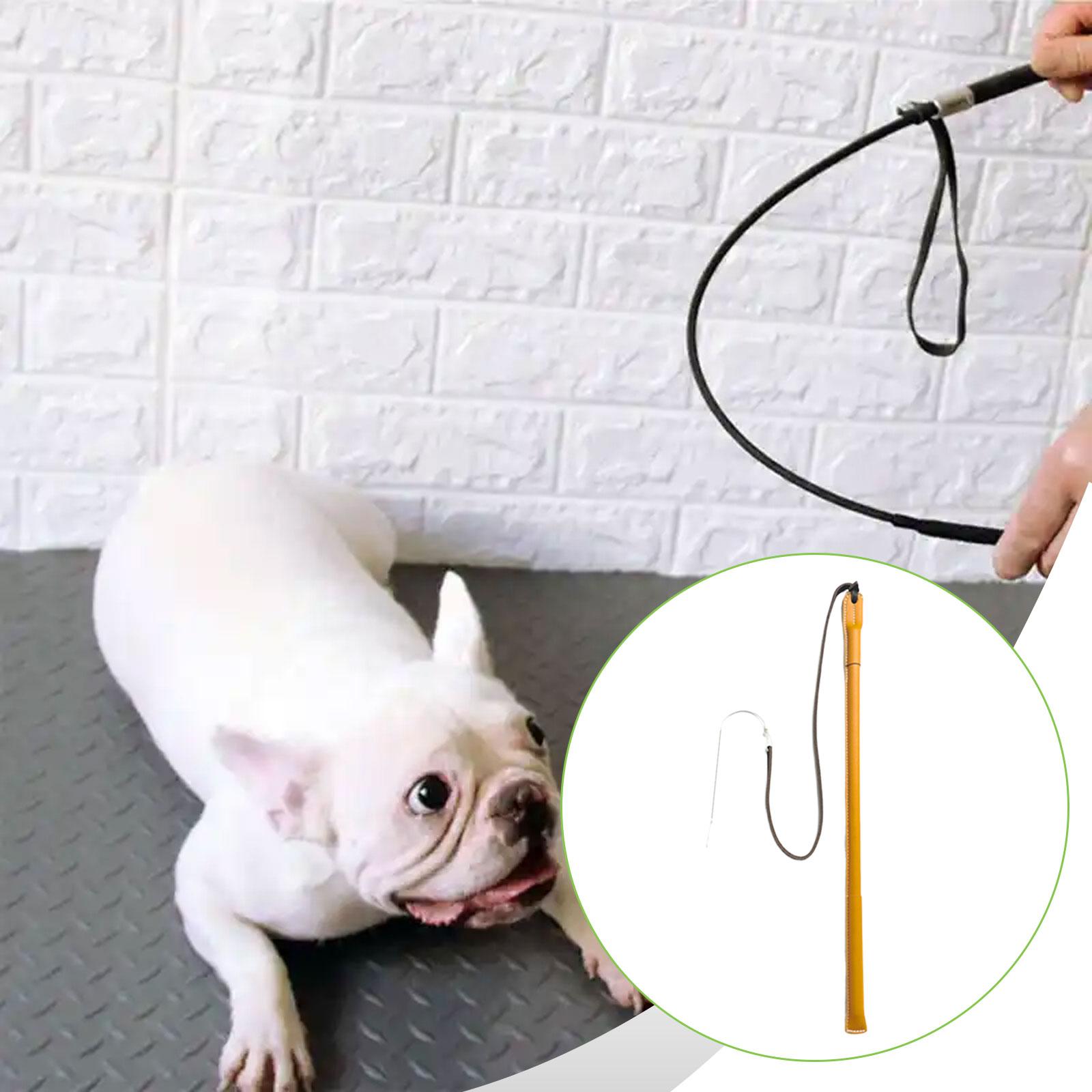 Wear Resistant PU Leather Dog  - Leatherwork Training recension och pris