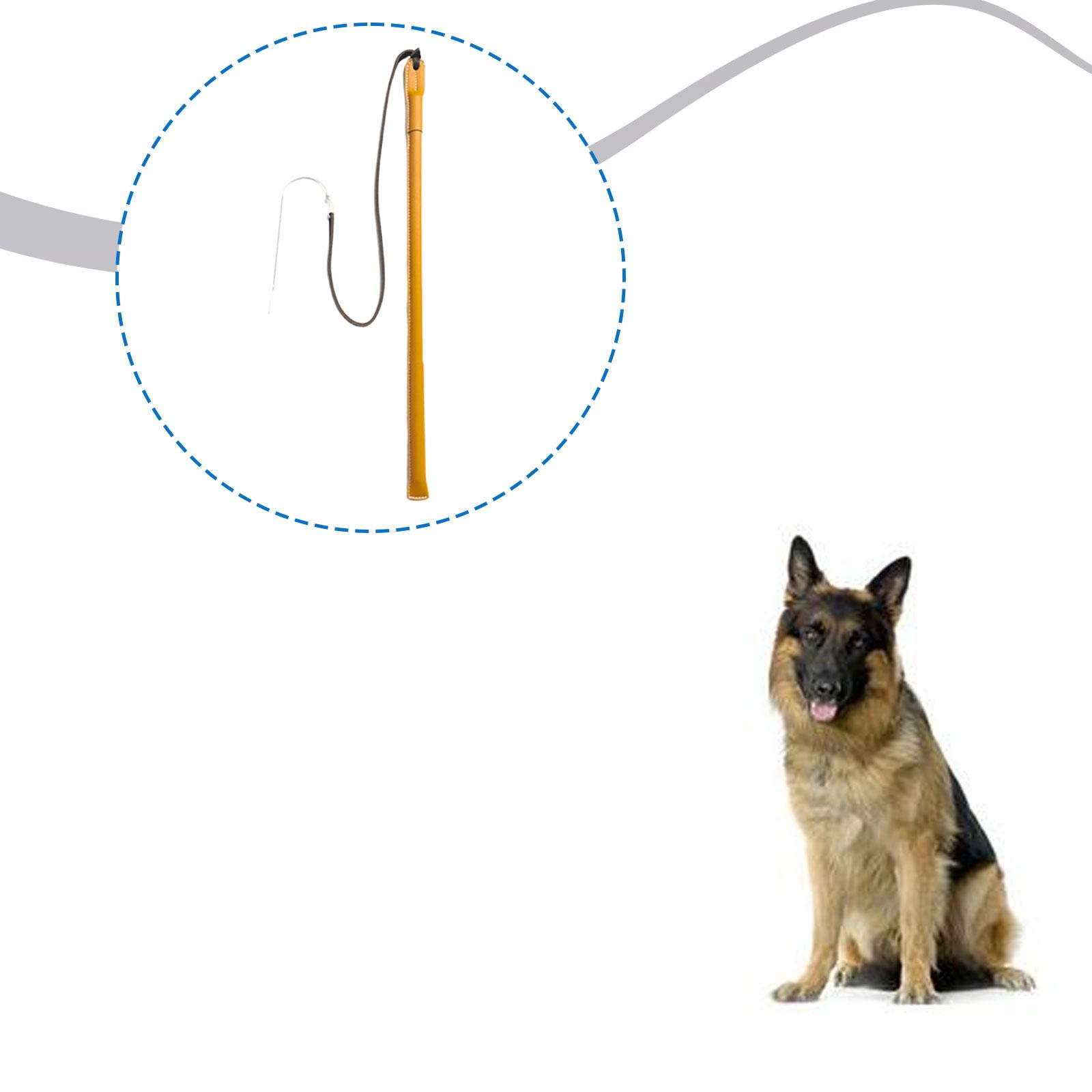 Wear Resistant PU Leather Dog  - Leatherwork Training recension och pris