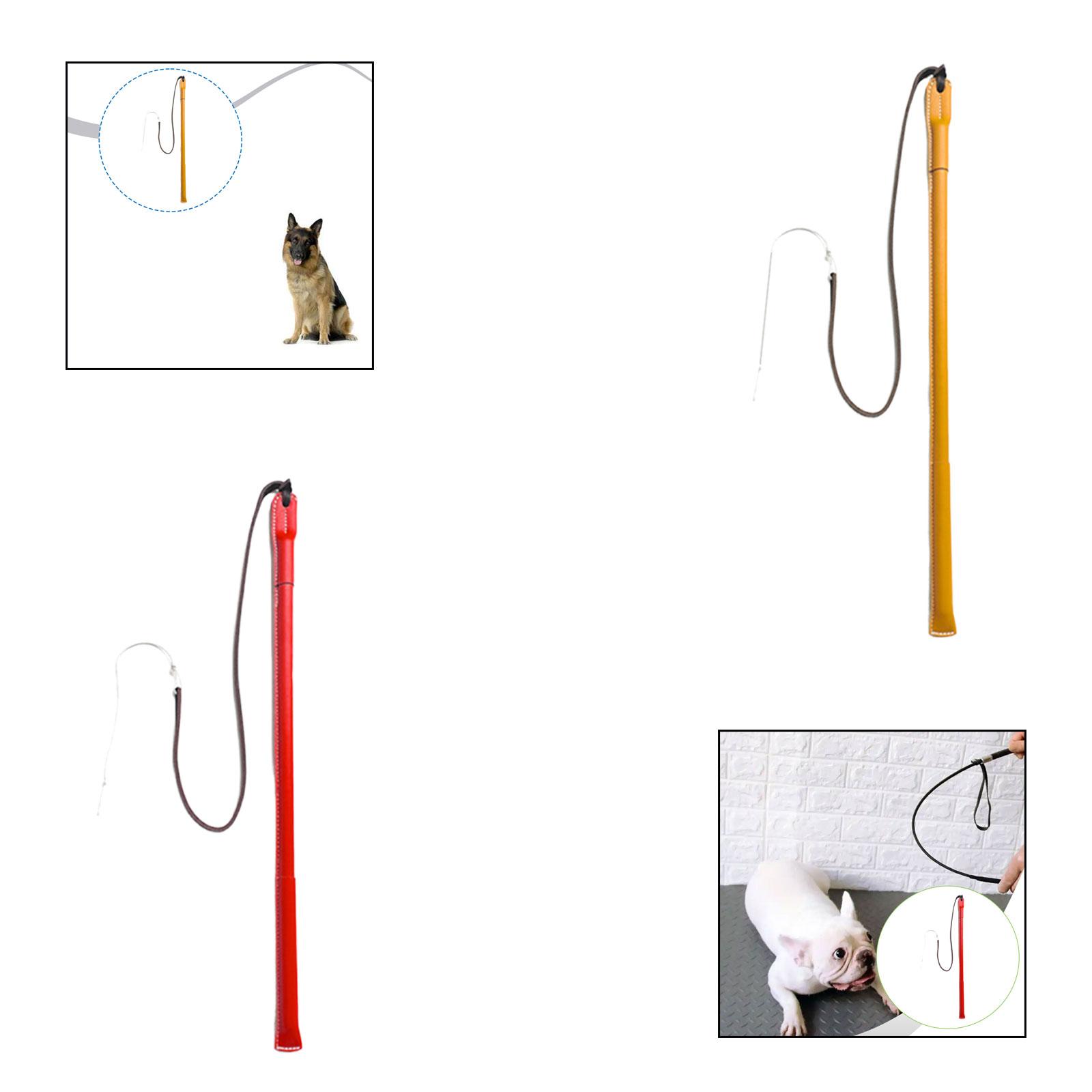 Wear Resistant PU Leather Dog  - Leatherwork Training recension och pris