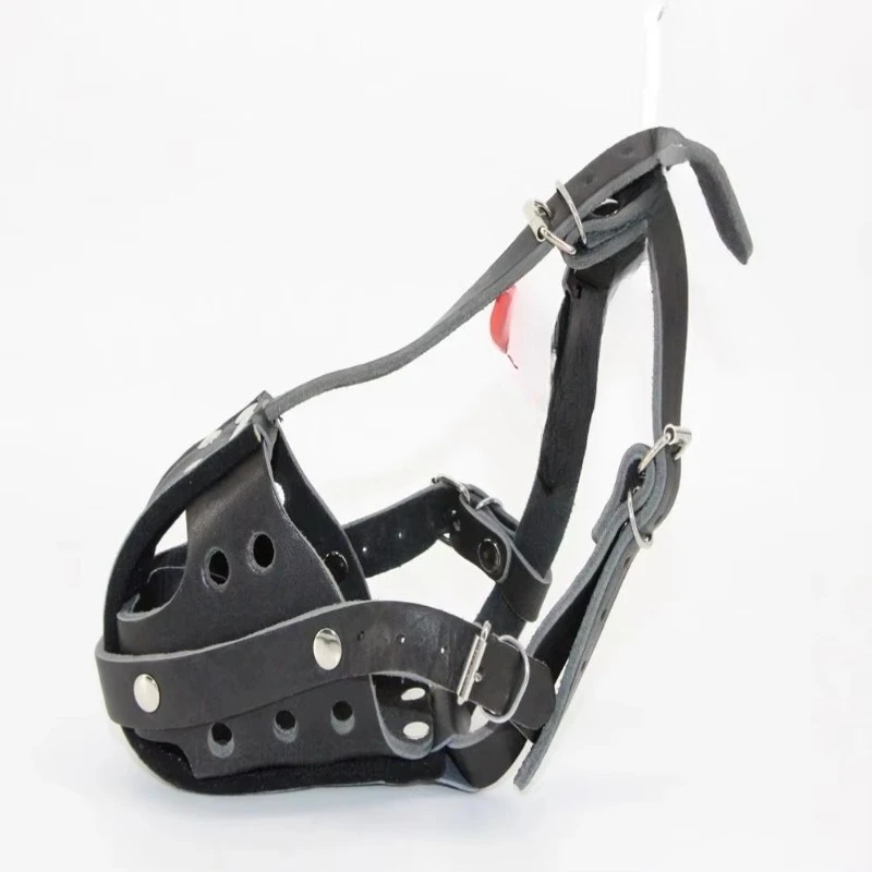 Tactical Dog Leather Working D - Leatherwork Training recension och pris