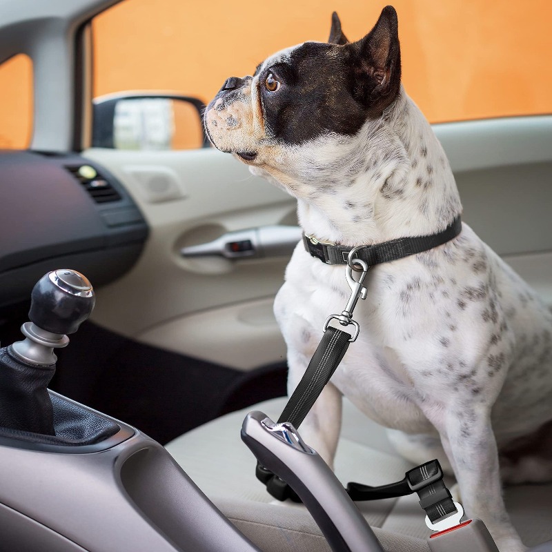 Retractable Dog Car Harness Se - Snap Fastener Setter recension och pris